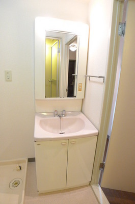 Washroom. Bathroom vanity