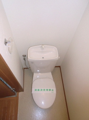 Toilet. Toilet