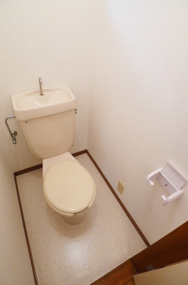 Toilet. Toilet