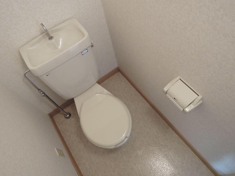 Toilet. It is a toilet with a clean.