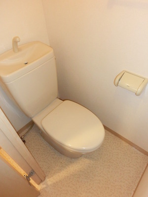 Toilet. Western-style toilet