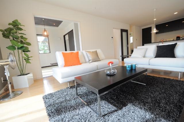 Same specifications photos (living). Living example of construction