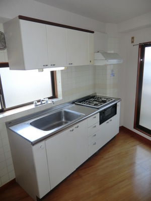 Kitchen. Two-burner gas system kitchen with grill