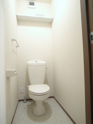 Toilet. It is handy! And toilet of the storage shelf, Outlet!