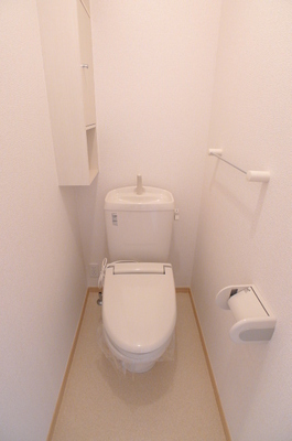 Toilet. Heating toilet seat