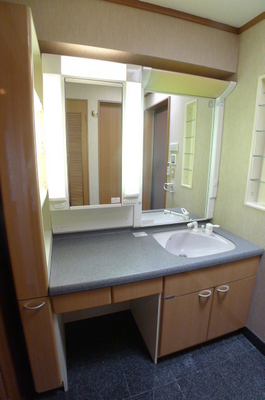 Washroom. Bathroom Vanity