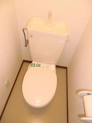 Toilet. Toilet