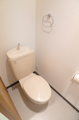 Toilet. Toilet