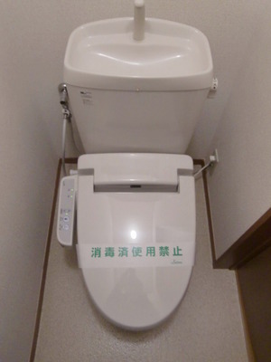 Toilet. Washlet toilet