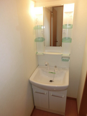 Washroom. Shampoo dresser