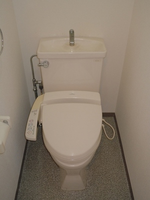 Toilet. Bidet!