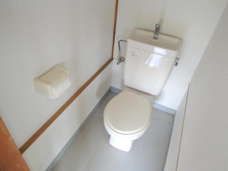 Toilet. Toilet is spacious space in a different