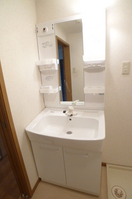 Washroom. Bathroom vanity