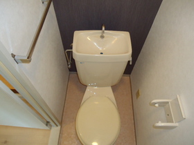 Toilet. Toilet