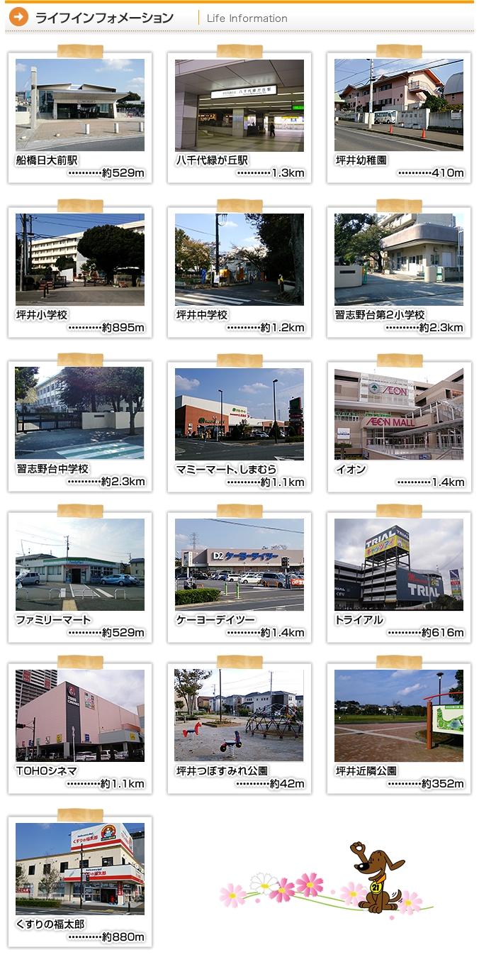 Streets around. Life Information