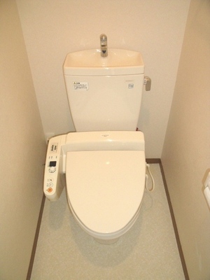 Toilet. Toilet