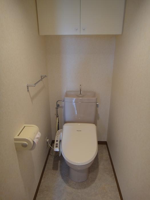 Toilet. Room (August 2013) Shooting