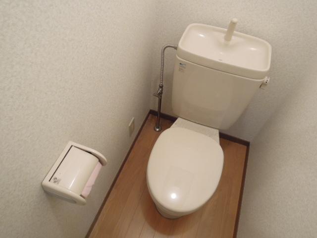 Toilet. It is a toilet with a clean.