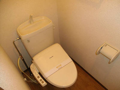 Toilet. Bidet function