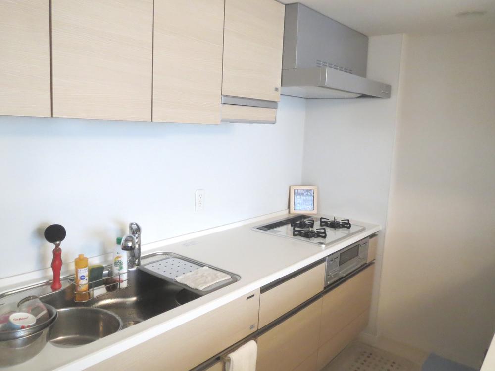 Kitchen. Indoor (11 May 2013) Shooting