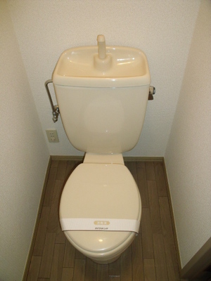 Toilet. Western-style toilet