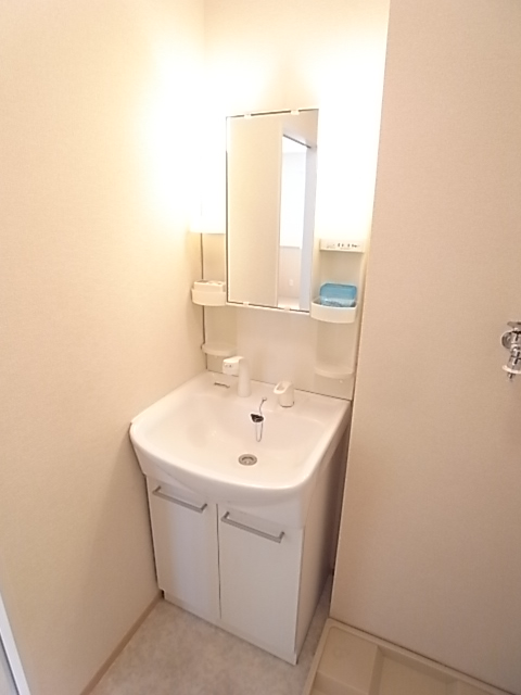 Washroom. It comes with shampoo dresser.