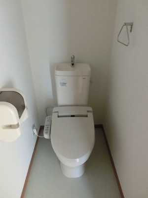 Toilet. Toilet with cleanliness