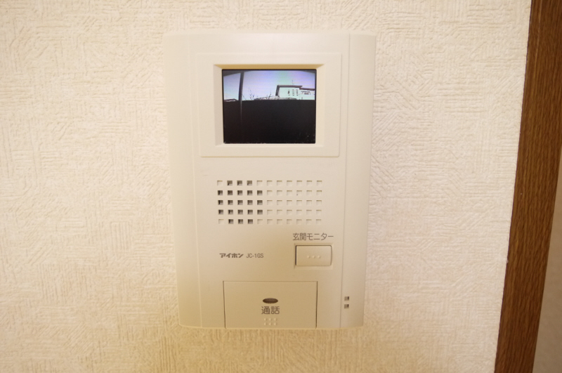 Security. Monitor with intercom