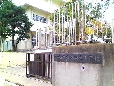 Primary school. 550m to the sea Jinnan Elementary School