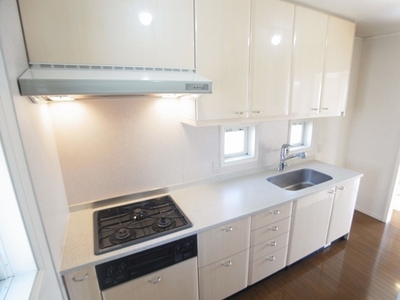 Kitchen. Conductor convenient 2WAY type of kitchen. I housework will Hakadori.