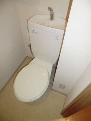 Toilet. It is a western style of your toilet