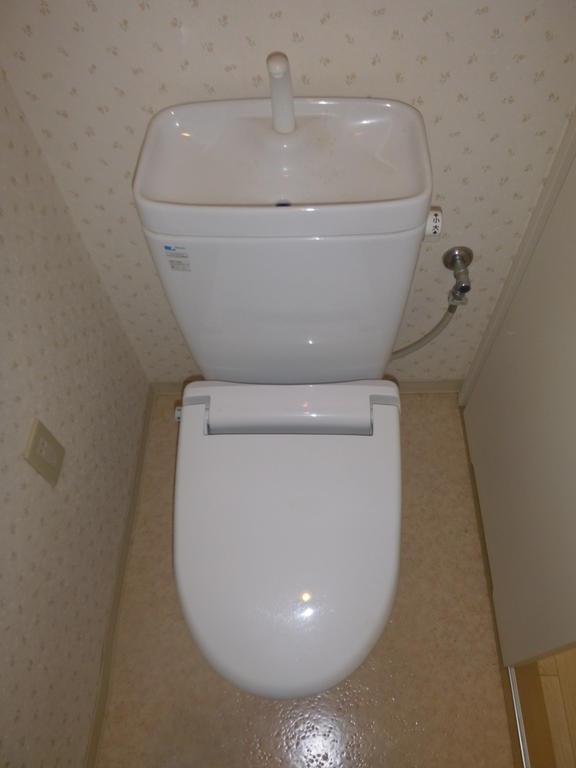 Toilet. It is a toilet with a clean.