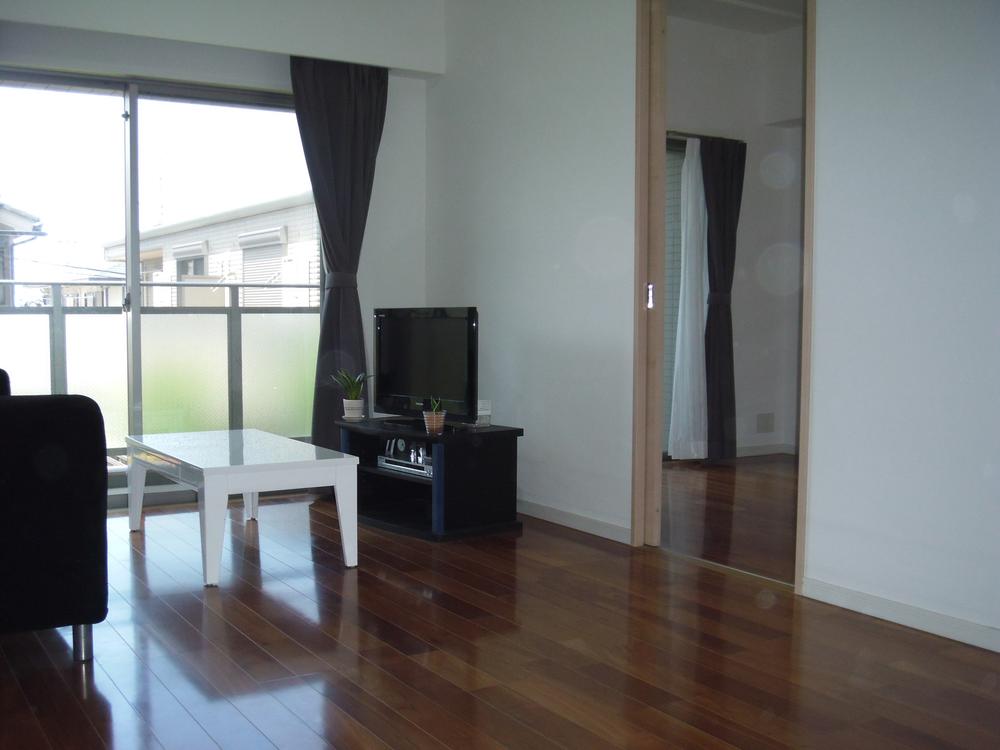 Living. Indoor (June 2012) shooting