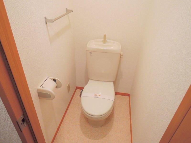 Toilet. Rest room with cleanliness