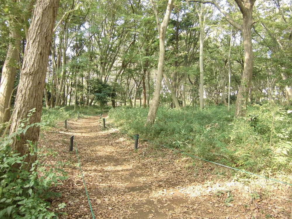park. For a walk or morning jogging course of 750m dog until the Forest Park of citizens.