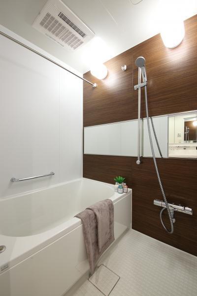 Bathroom. Indoor (12 May 2013) Shooting