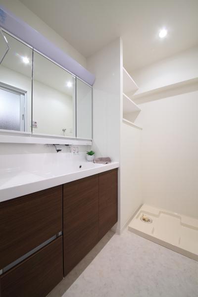 Wash basin, toilet. Indoor (12 May 2013) Shooting