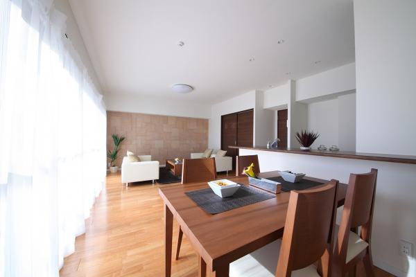 Living. Indoor (12 May 2013) Shooting