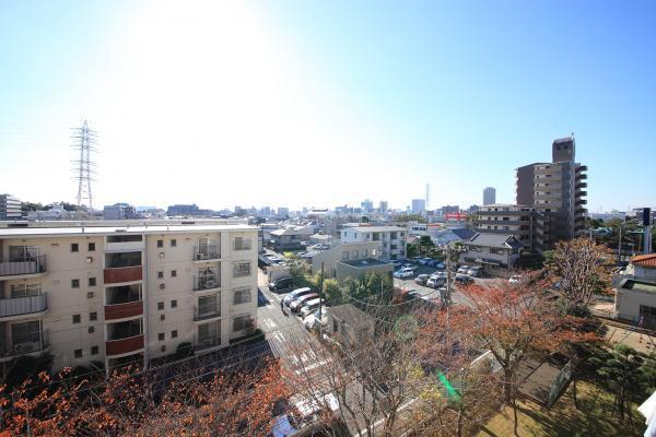 Other. View from the veranda