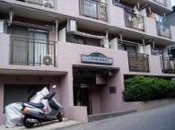 Local appearance photo. This appearance tiled