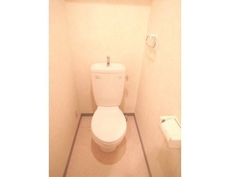 Toilet. Let's use to clean.