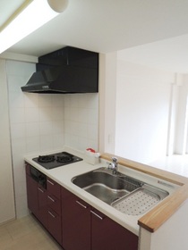 Kitchen. Pat dishes in a wide sink system kitchen-in! 