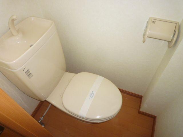 Toilet. Western-style toilet