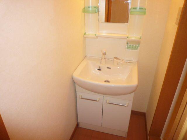 Washroom. Shampoo dresser