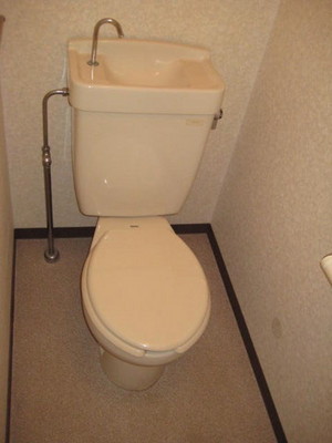 Toilet. Toilet