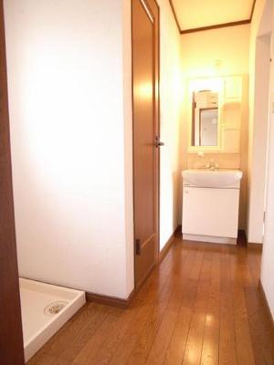 Washroom. 205, Room is a wash basin is shampoo dresser type