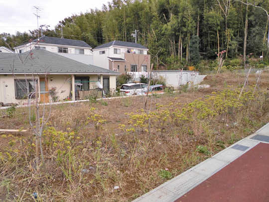 Local land photo