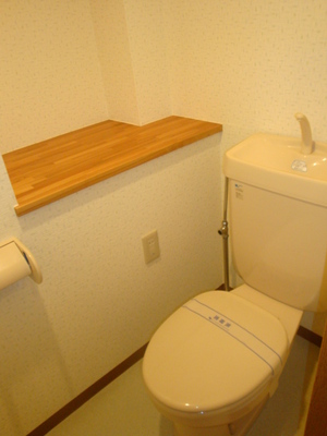 Toilet. Spread of toilet