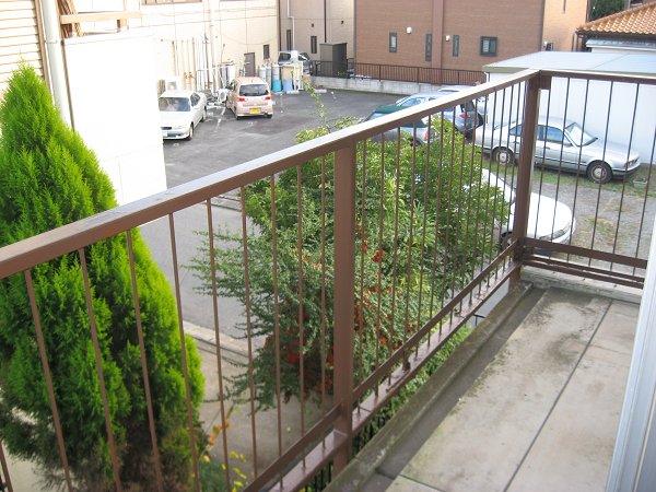 Balcony. Veranda is also bright.