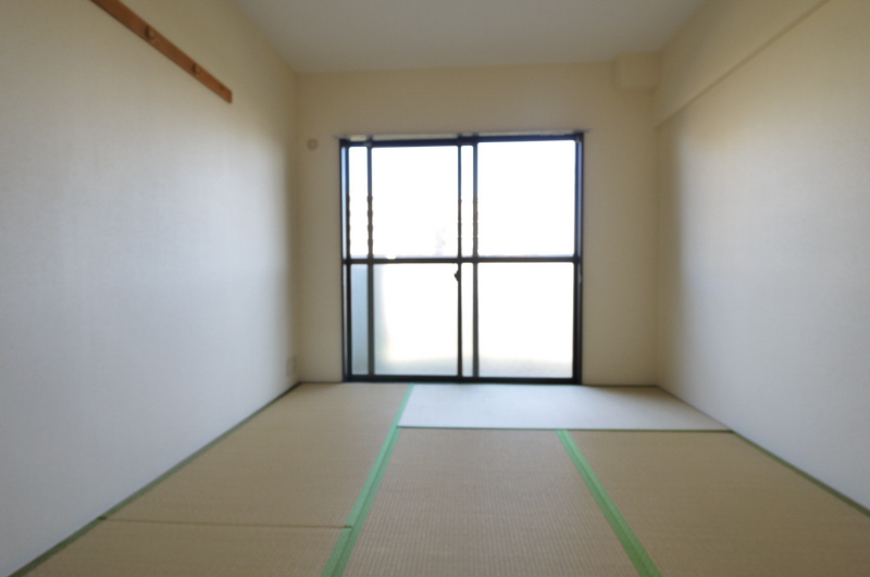 Living and room. Calm and tatami rooms